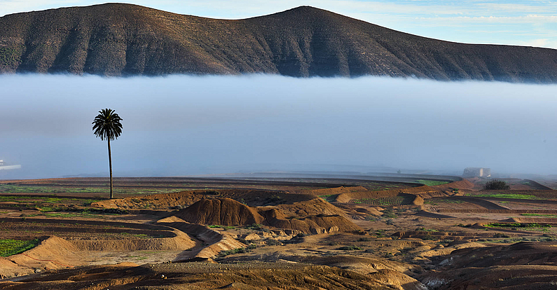 Ein Wintermorgen in La Matilla auf Fuerteventura – ein Spektakel der Natur.