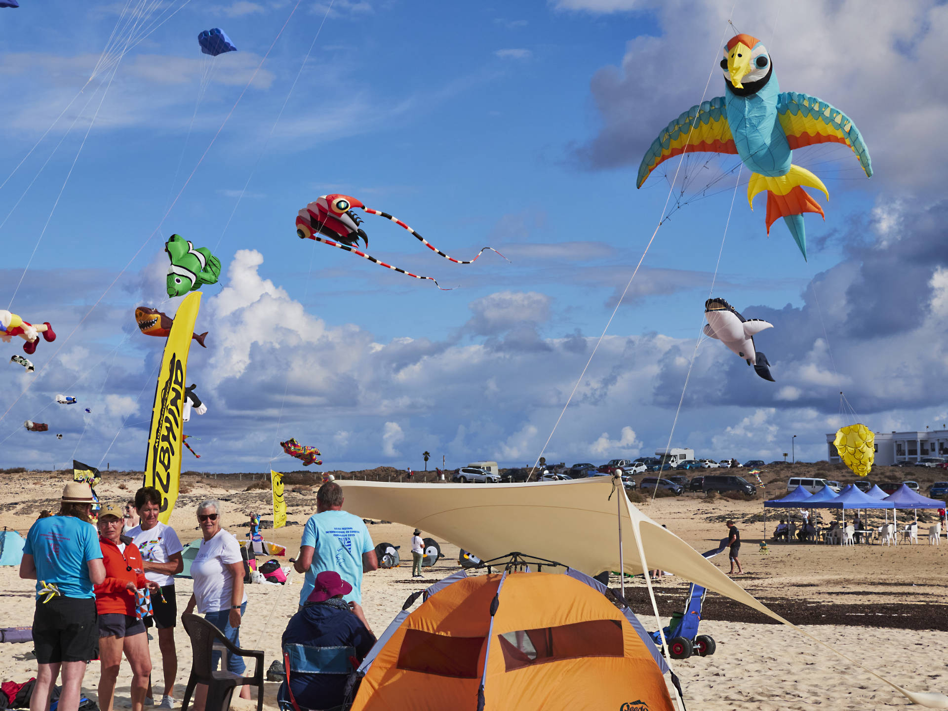 Impressionen vom Drachenfestival auf Fuerteventura 2024 – 37. Festival Internacional de Cometas.