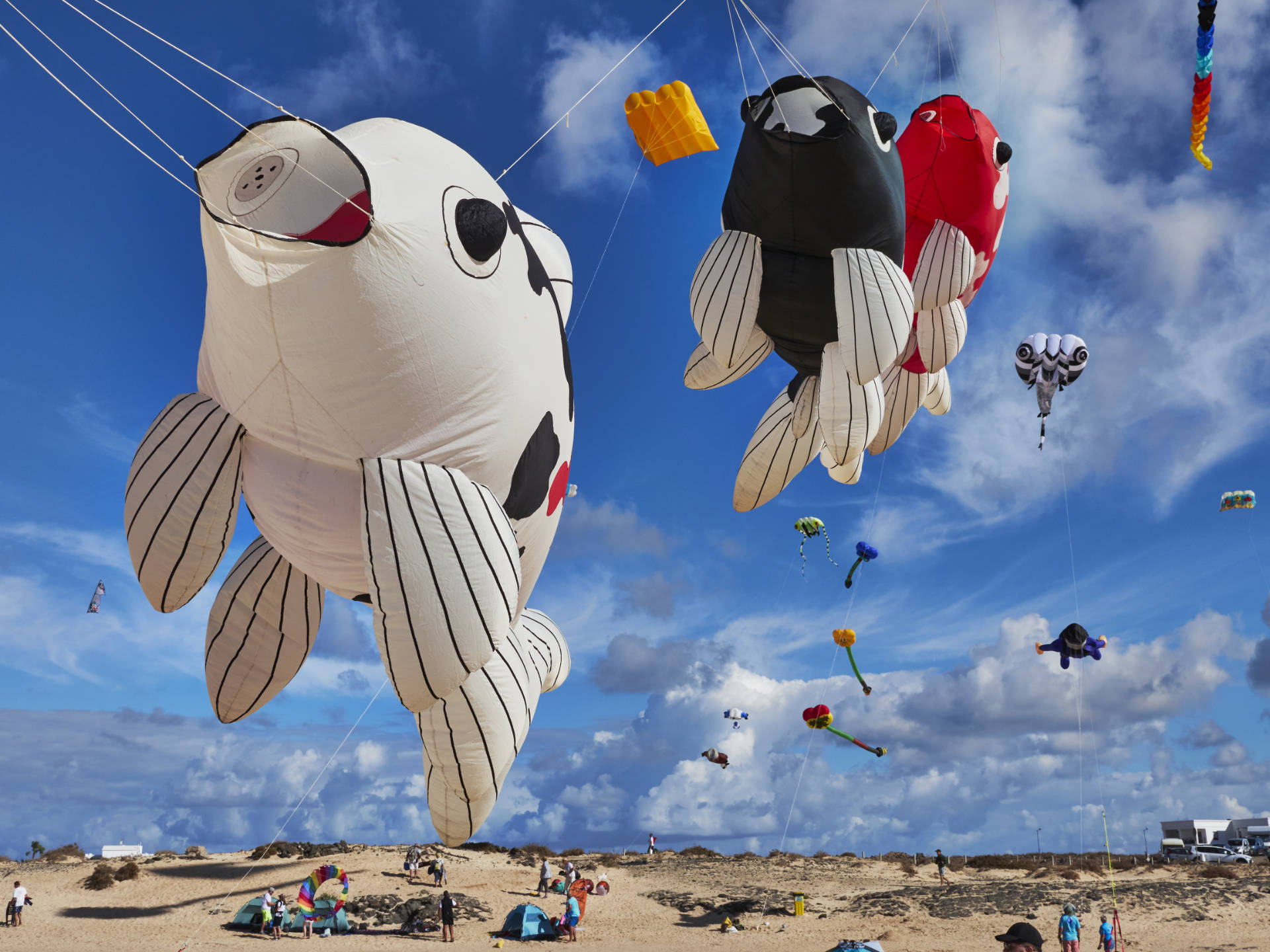 Impressionen vom Drachenfestival auf Fuerteventura 2024 – 37. Festival Internacional de Cometas.