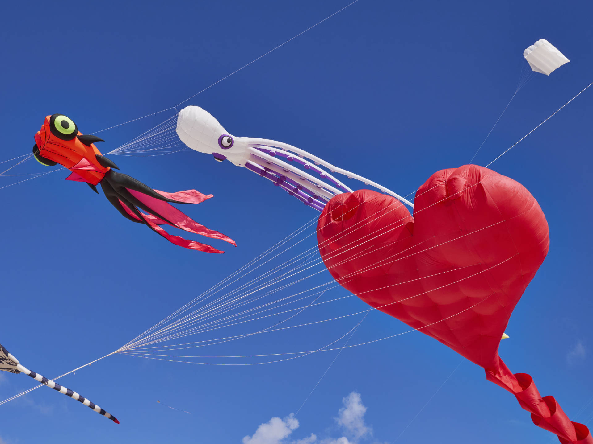 Impressionen vom Drachenfestival auf Fuerteventura 2024 – 37. Festival Internacional de Cometas.