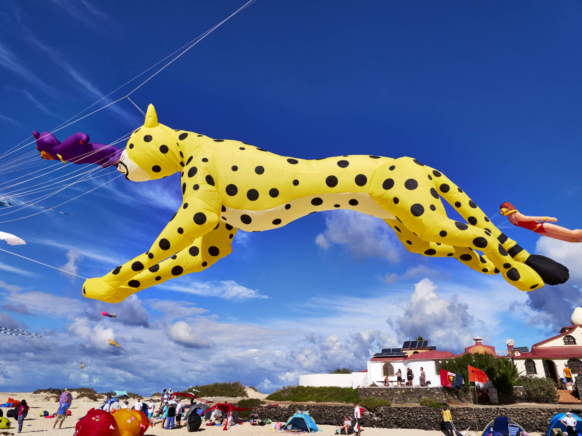 Impressionen vom Drachenfestival auf Fuerteventura 2024 – 37. Festival Internacional de Cometas.